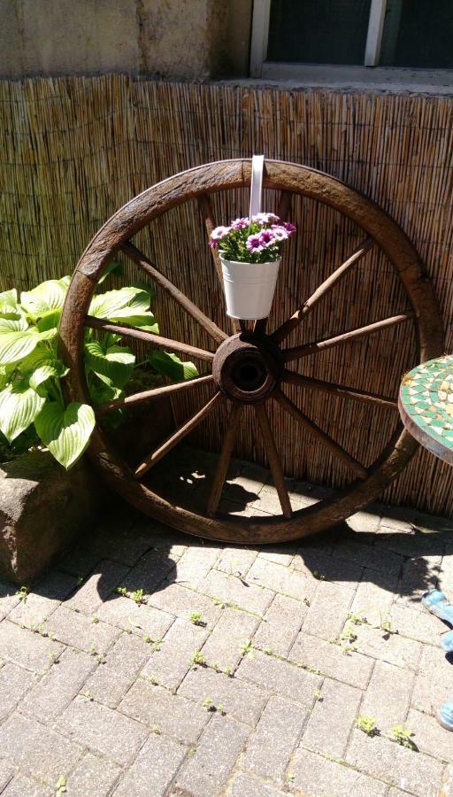 Ferienwohnungen Pension Aurora Kappel-Grafenhausen Exteriér fotografie
